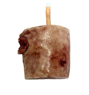 Simulatore di ferita con entrata /uscita da arma da fuoco