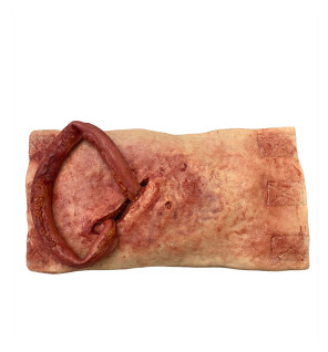 Simulatore di ferita all'addome con eviscerazione indossabile