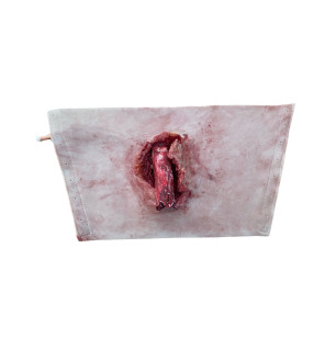 Simulatore di Frattura del femore indossabile