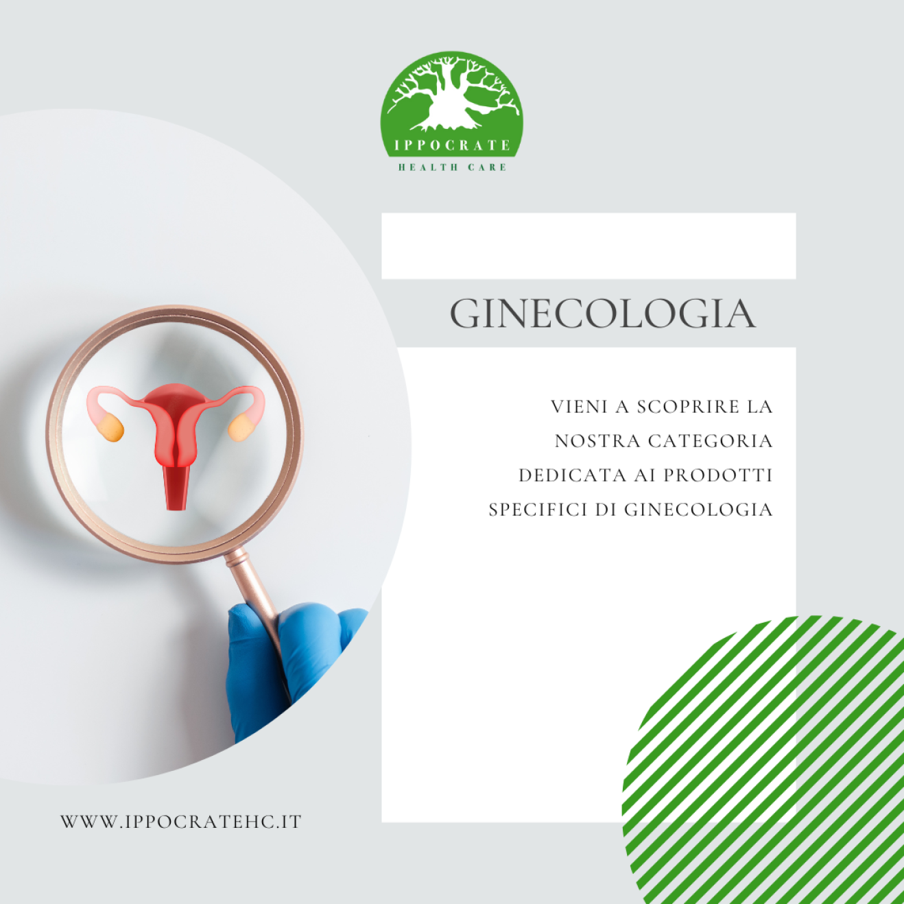 RICERCA PER SETTORE: GINECOLOGIA